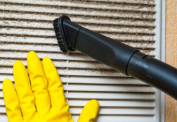 Best HVAC Duct Inspection Services  in Canton, MO